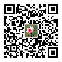 澳门真人娱乐游戏阳山镇人民政府新媒体账号