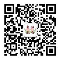 澳门真人娱乐游戏司法局新媒体账号