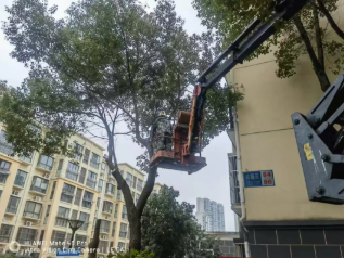 澳门真人娱乐游戏