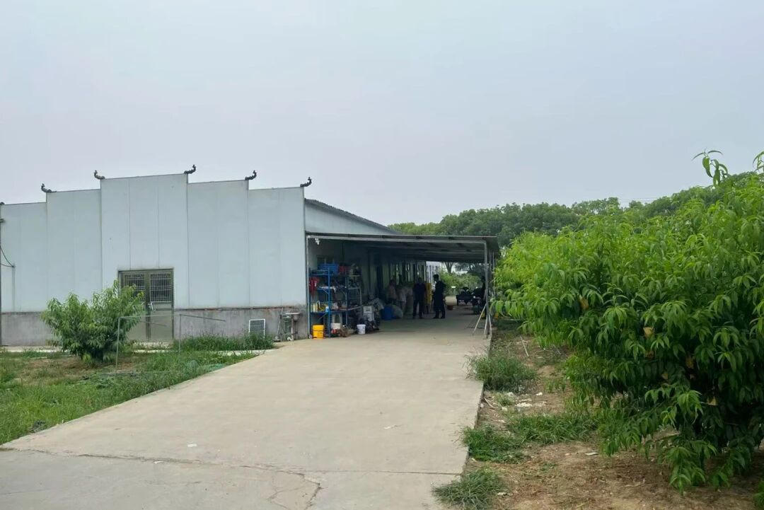 澳门真人娱乐游戏
