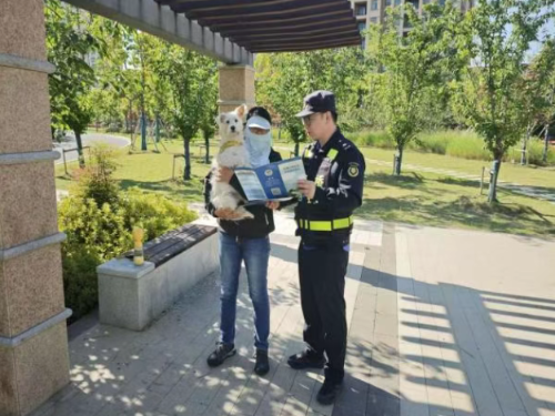 澳门真人娱乐游戏