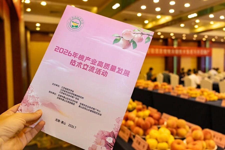 澳门真人娱乐游戏