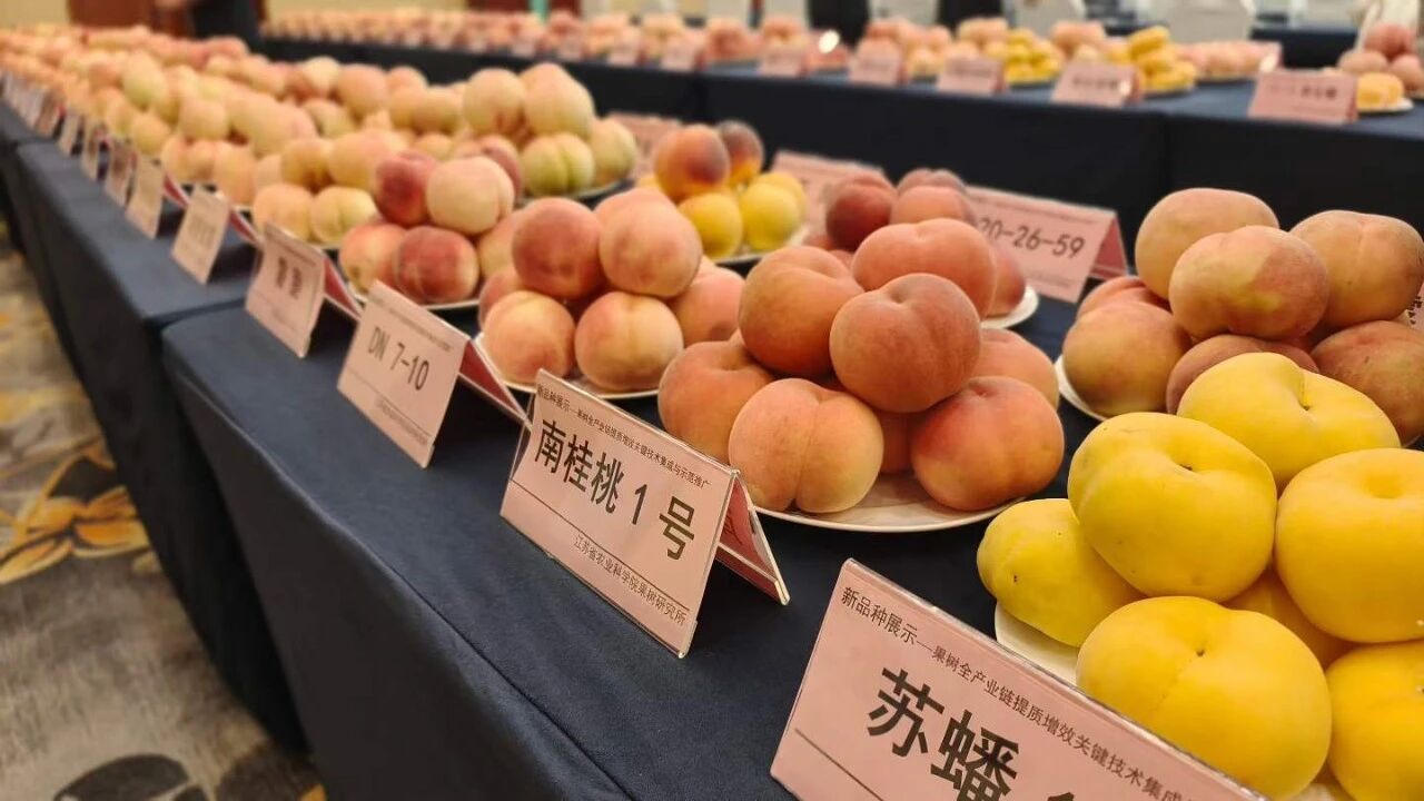澳门真人娱乐游戏