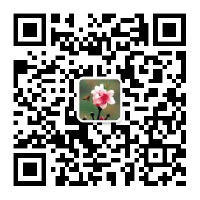 澳门真人娱乐游戏